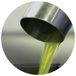 newsletter August circle oliveoil newsletter August circle oliveoil
